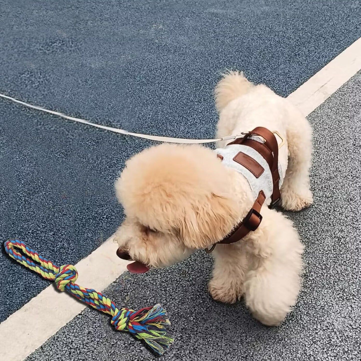 DIBBATU Dog Rope Toy, 3 Pack for Small Dogs, Durable Interactive Puppy Toys Ropes, Flirt Pole Replacement Toys for Teething Health, Relieve Boredom