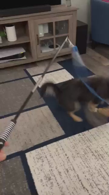 DIBBATU Flirt Pole for Dogs Interactive Dog Toys for Large Medium Small Dogs Chase and Tug of War, Dog Teaser Wand with Lure Chewing Toy for Outdoor Exercise & Training