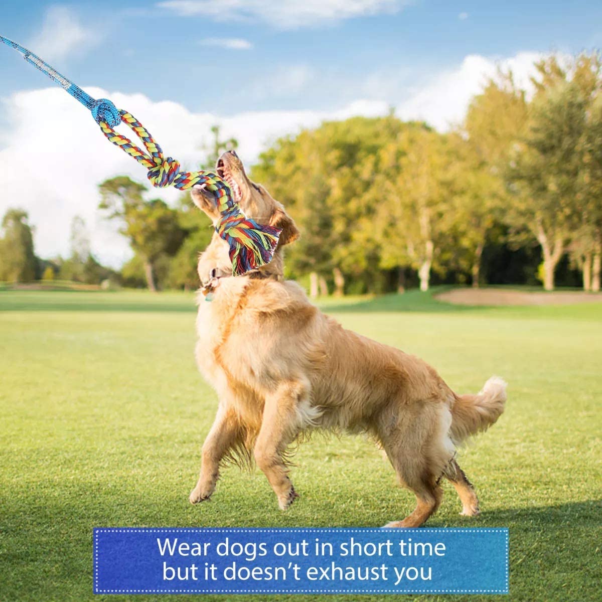 Interactive Dog Toys - Extendable Flirt Pole with 2pcs Fleece Lure Tugs for  Dog Outdoor Entertainment, Train and Exercise, New Grey : : Pet  Supplies